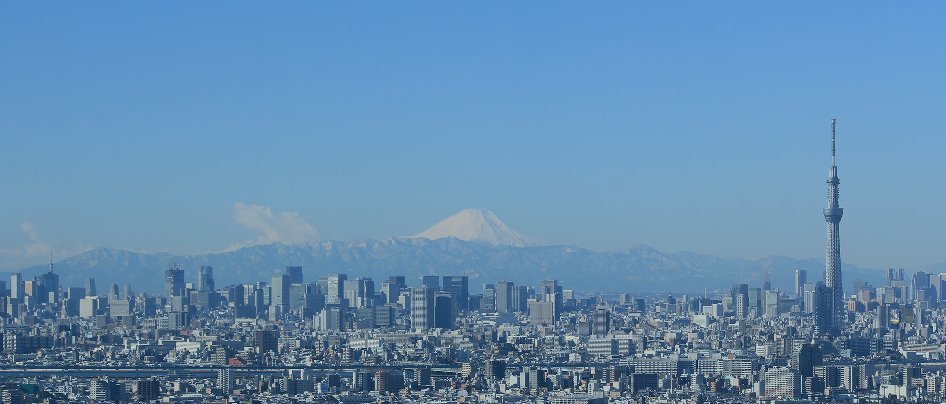 株式会社大山光学