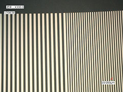 フィルムスケール